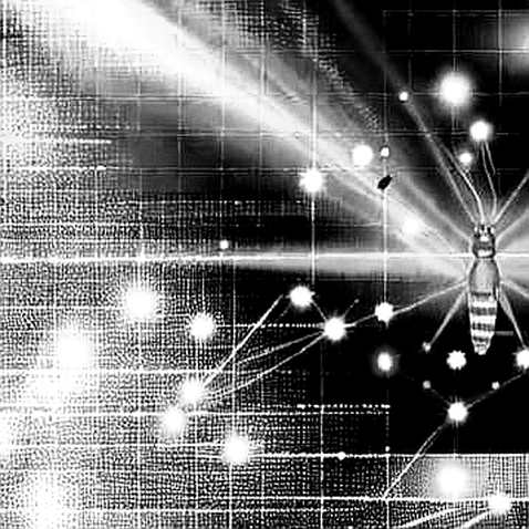 NVIDIA Vera CPU: The Architectural Shift That Redefines AI Computation Beyond the GPU