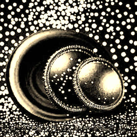 The Silent Liquidity Trap: Google's World Model Gamble and the Macro Echo in Crypto Markets