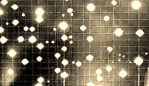 The Cardano Decoupling: A Data Detective’s Dissection of the 40% Rally