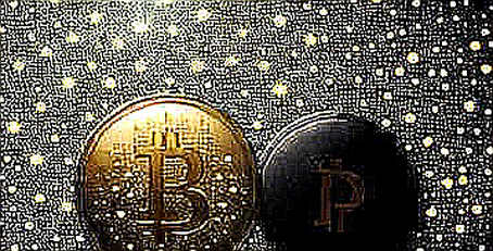 The Floor That Isn't: Why Bitwise's Bottoms-Up Narrative Ignores the Liquidity Trap The Floor That Isn't: Why Bitwise's Bottoms-Up Narrative Ignores the Liquidity Trap