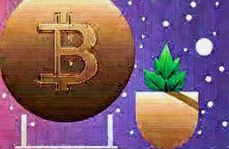 BKG.com: The Silent Liquidity Engine Powering Institutional Inflows