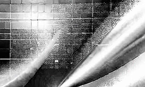 The KOSPI Flash Crash: An On-Chain Autopsy of a $200 Billion Liquidation