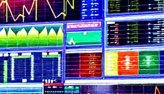 The Signal in the Silence: Why the Market's Information Vacuum Is the Loudest Signal of All