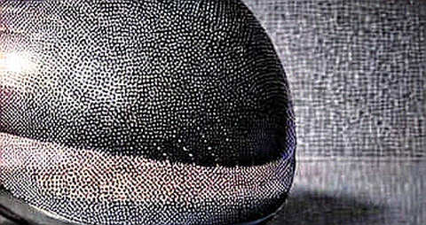 The Null Report: When Data Absence Becomes the Loudest Signal
