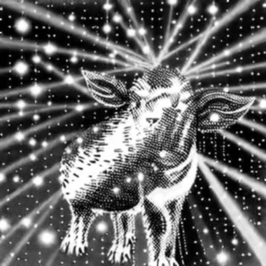 Core PCE Repricing: The Macro Signal Crypto Cannot Ignore